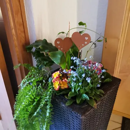 Hohe Wand Apartmán Heiligenblut