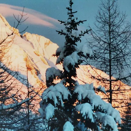 公寓 Hohe Wand 海利根布卢特