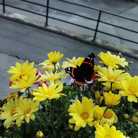 Hohe Wand Heiligenblut