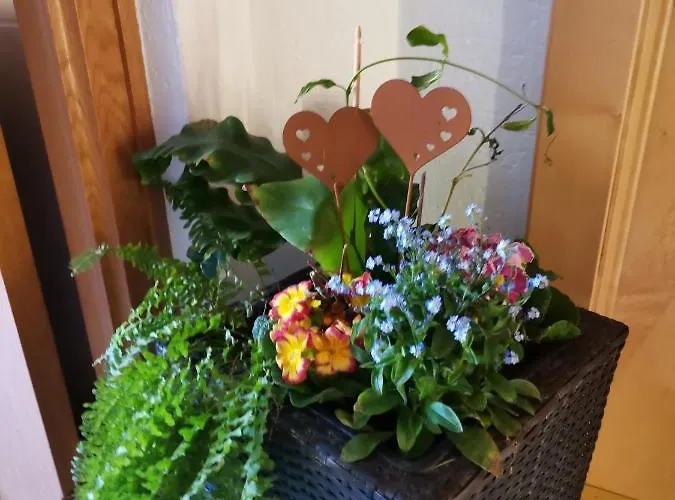 Hohe Wand شقة هيليغنبلت